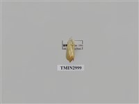 藏品(夜蛾603)的圖片